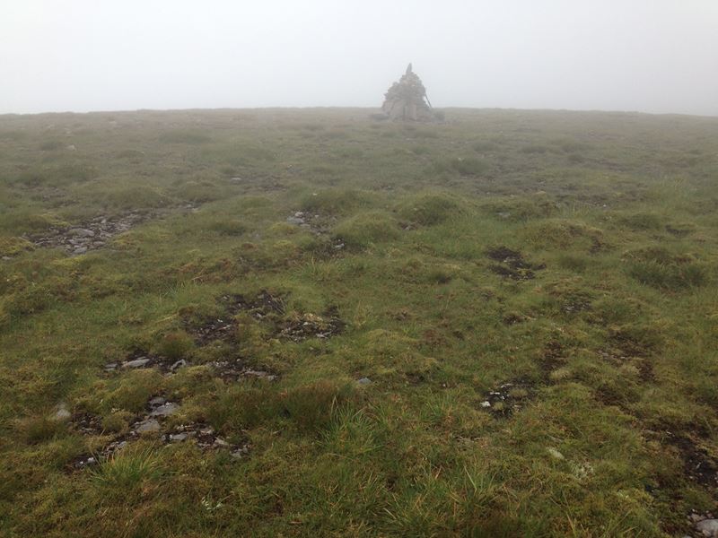 Summit