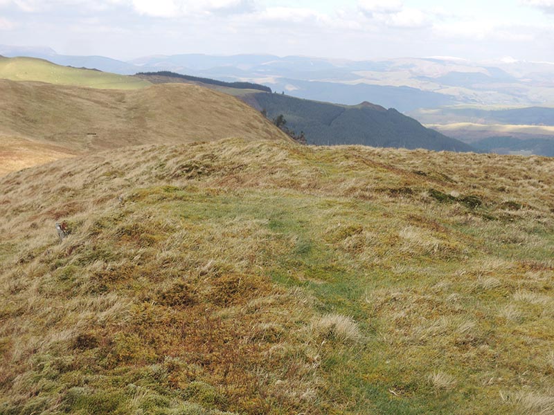 Summit